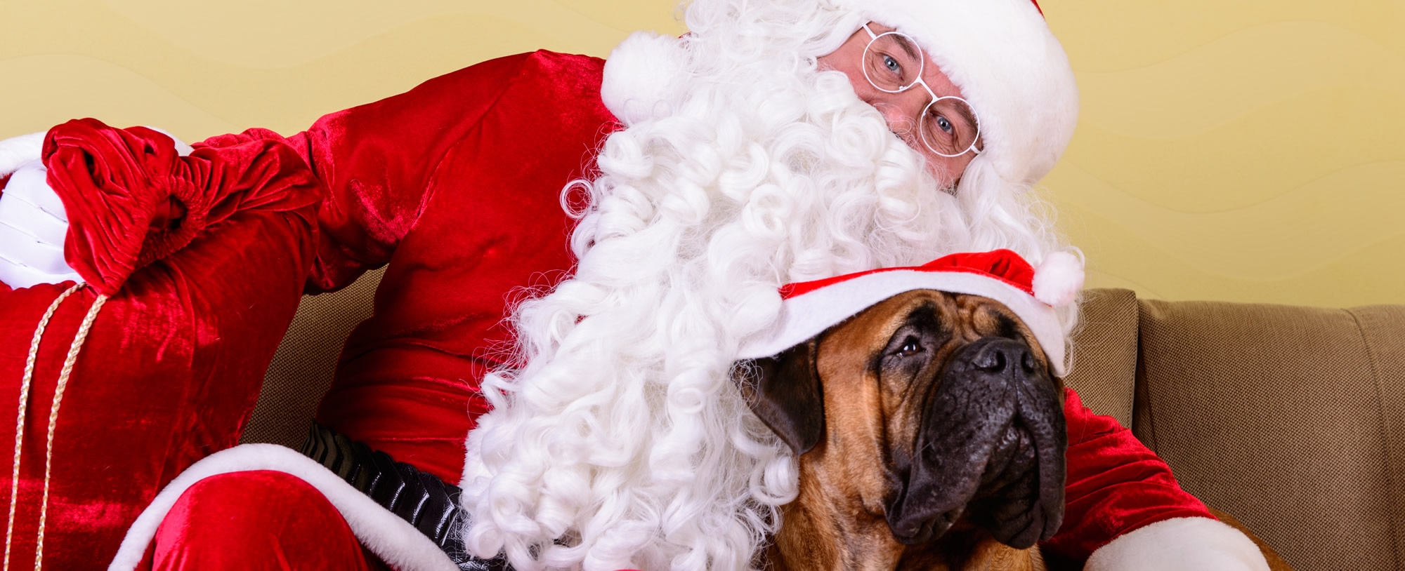 Pet Pictures with Santa 2018