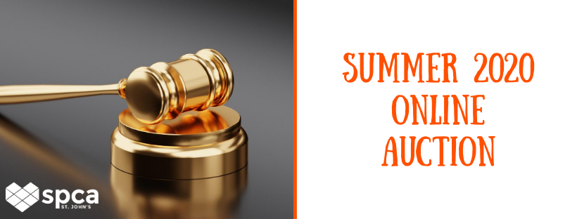 Summer 2020 Online Auction