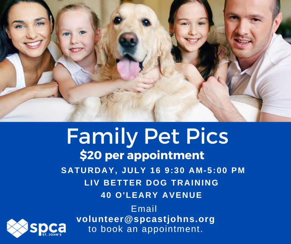 Family Pet Pictures