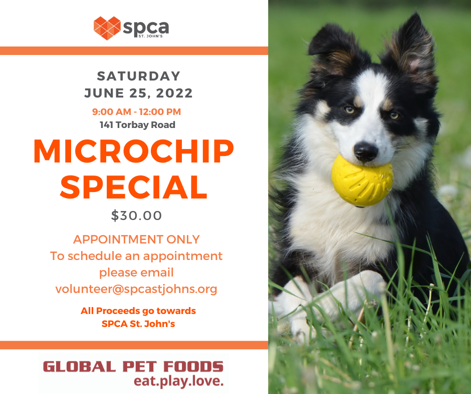 Microchip Special