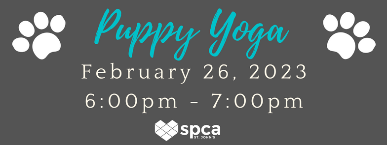 Puppy Yoga - February 26, 2023