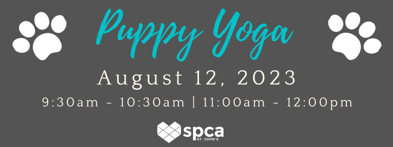 Puppy Yoga - August 12, 2023