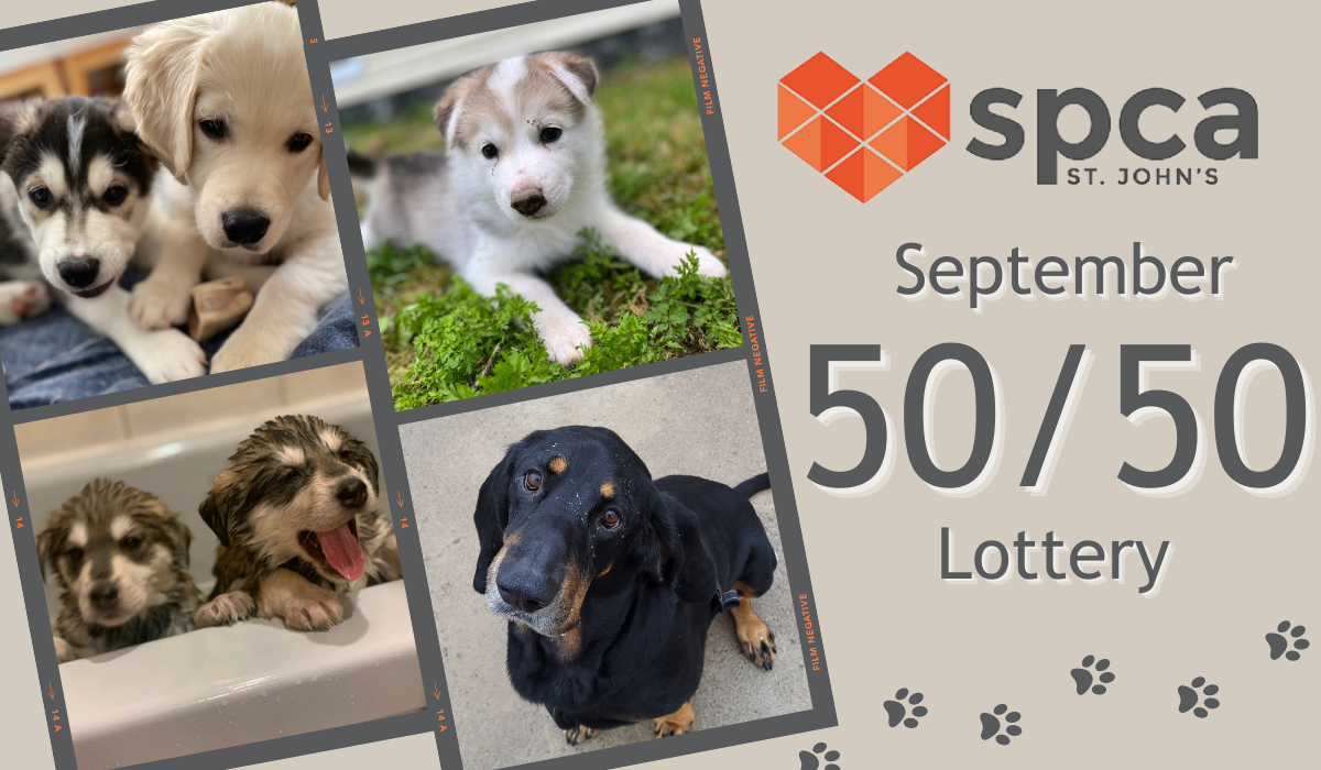 September Online 50/50 Ticket Draw!