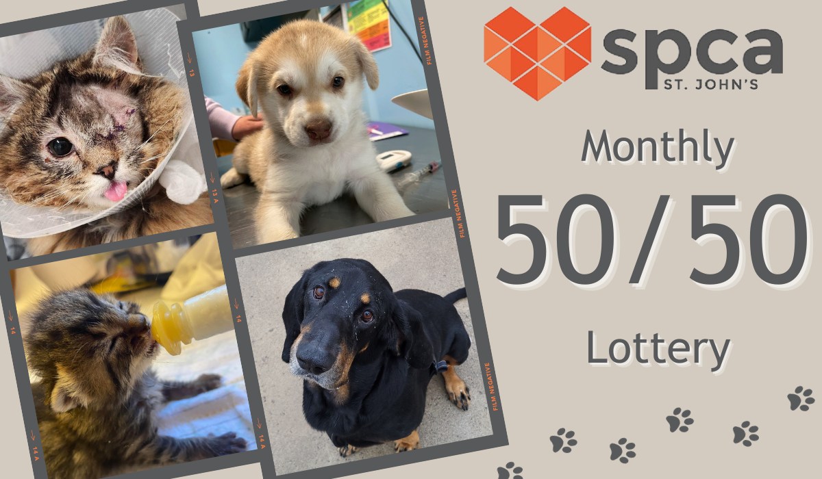 December's Online 50/50 Draw