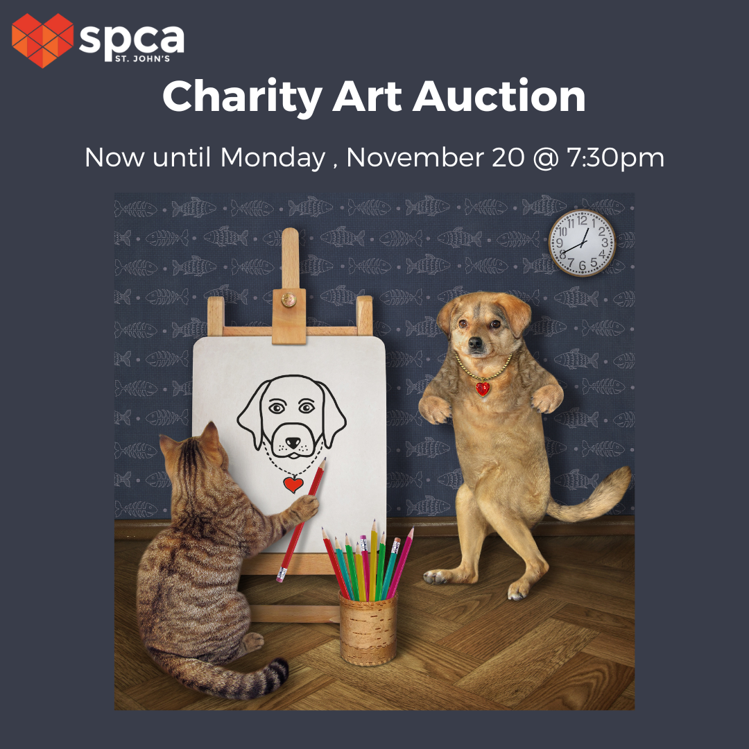 Charity Art Auction