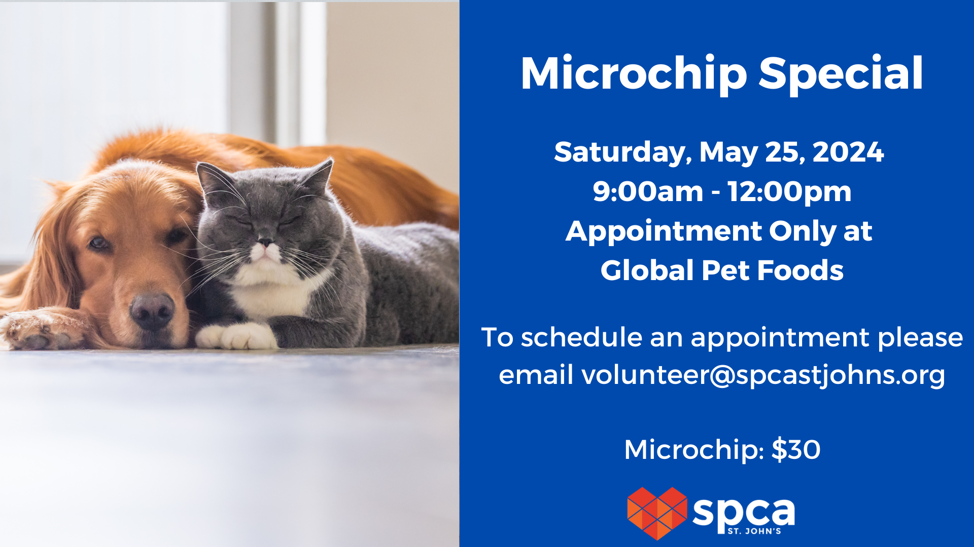 Microchip Special - May 25, 2024
