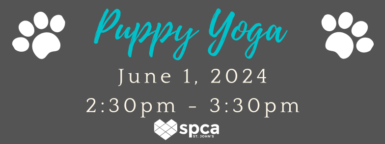 Puppy Yoga - June 1, 2024