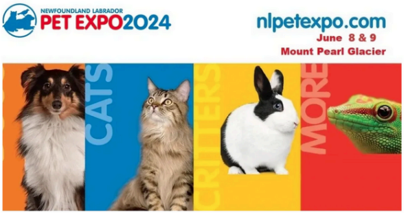 NL Pet Expo 2024