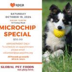 Microchip Special - October 19, 2024