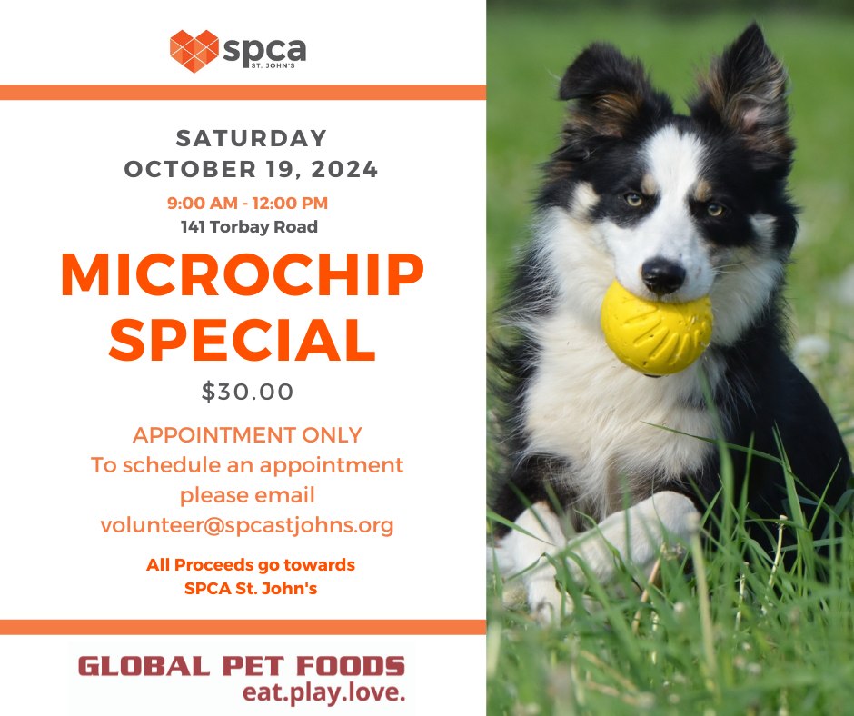 Microchip Special - October 19, 2024