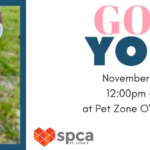 Goat Yoga - November 10, 2024