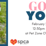 Goat Yoga - February 23, 2025