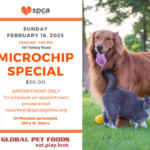 Microchip Special - February 16, 2025