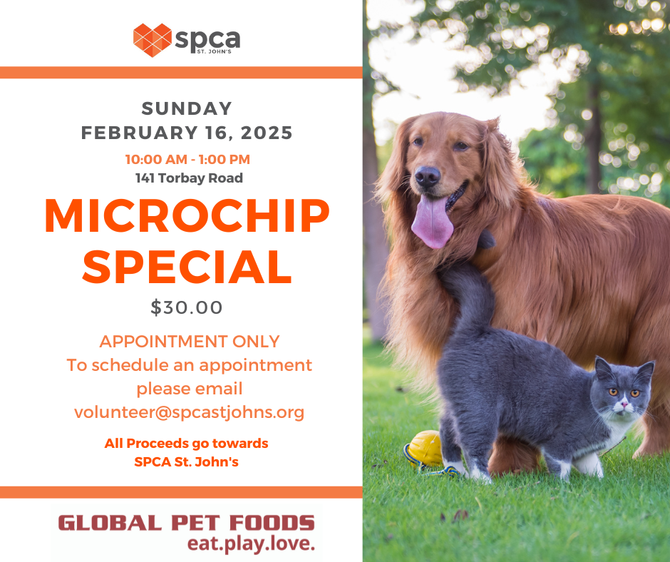 Microchip Special - February 16, 2025