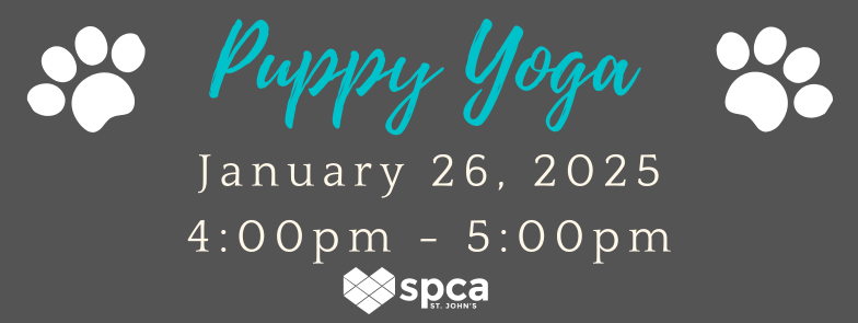 Puppy Yoga - January 26, 2025