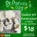 St. Patrick's Day - Cookie Kit Fundraiser 2025