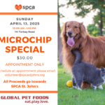 Microchip Special - April 13, 2025