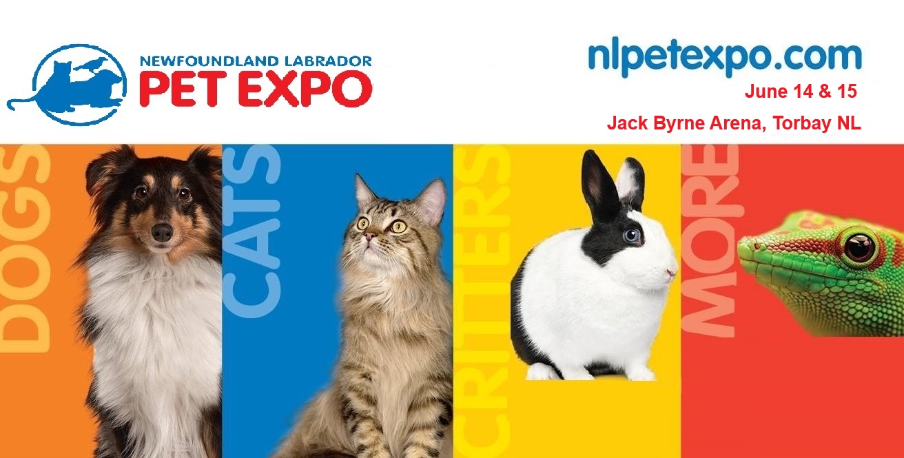 NL Pet Expo 2025