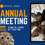 Annual General Meeting