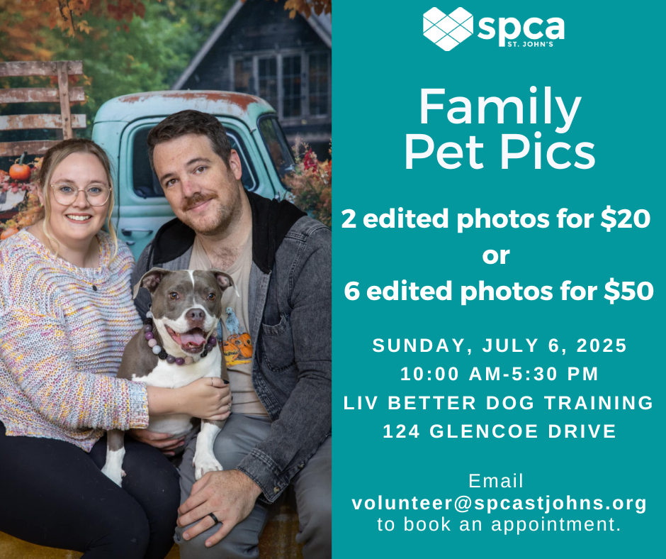 Family Pet Pictures - July 6, 2025