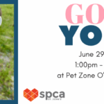 Goat Yoga - June 29, 2025