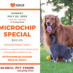 Microchip Special - July 20, 2025