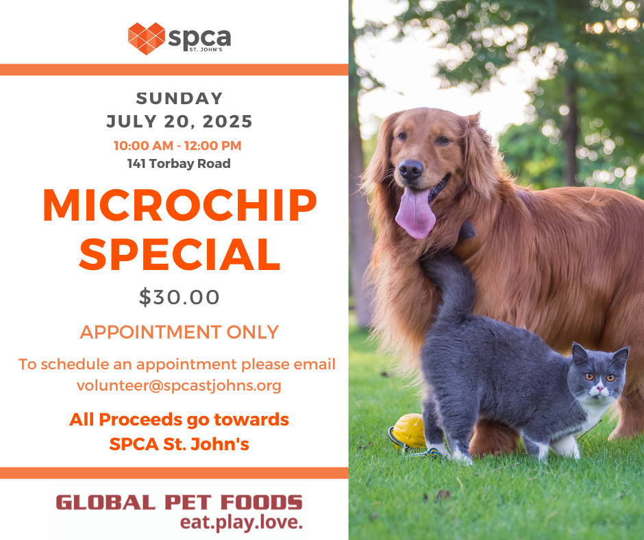 Microchip Special - July 20, 2025