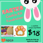 Easter Cookie Kit Fundraiser 2026