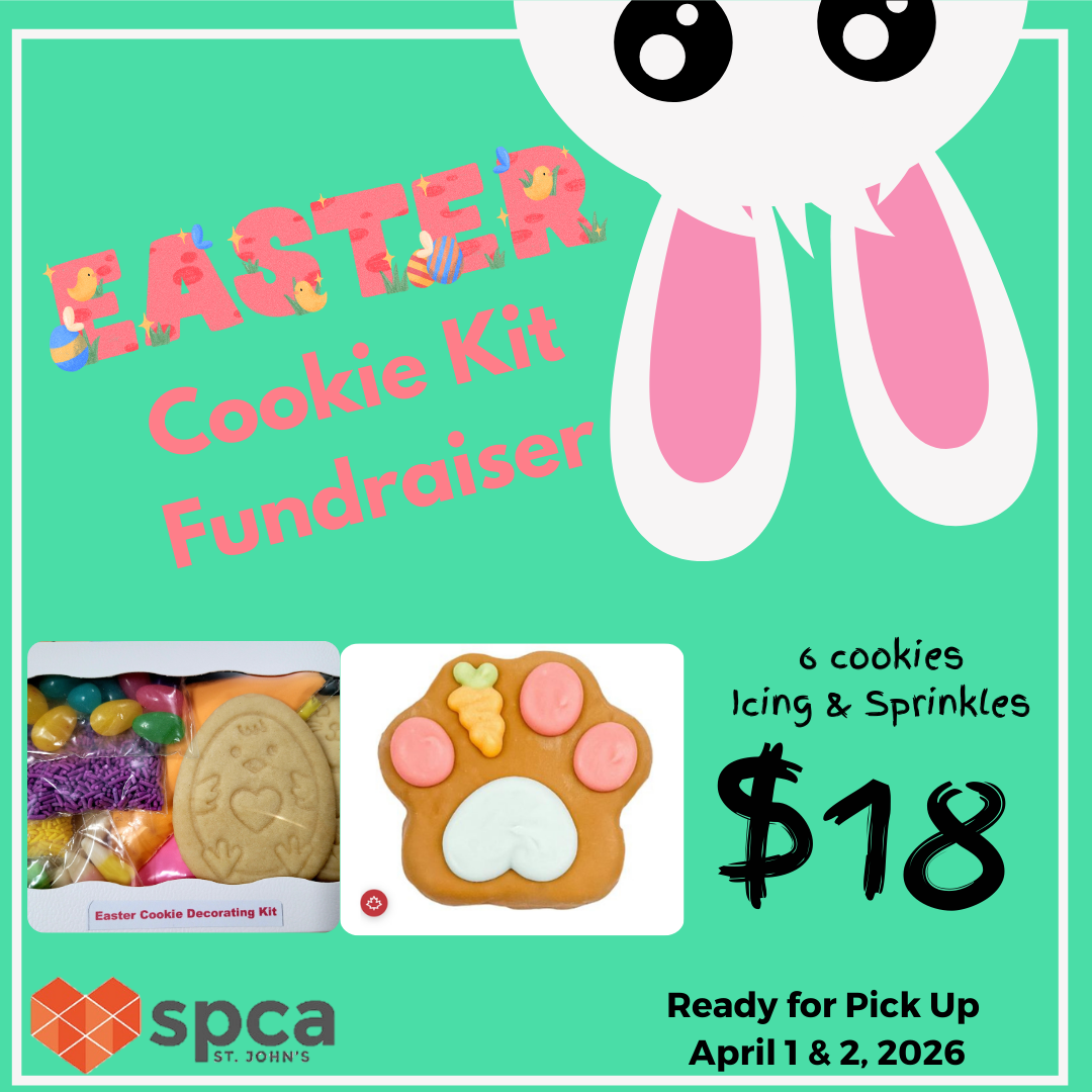 Easter Cookie Kit Fundraiser 2026