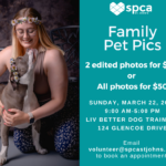 Family Pet Pictures - March 22, 2026