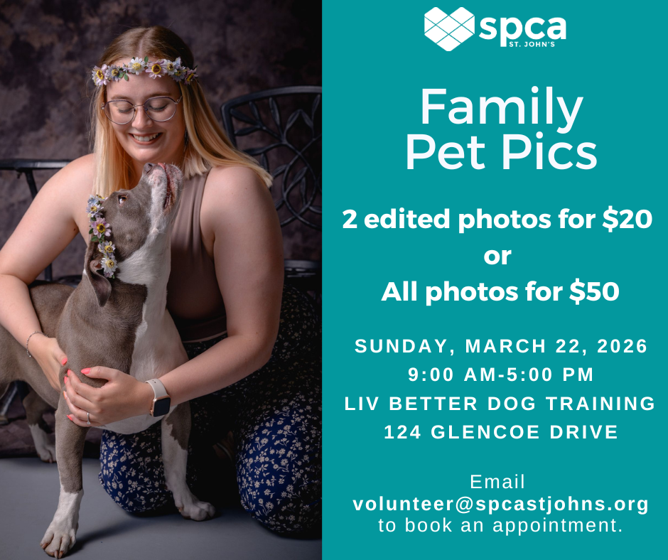 Family Pet Pictures - March 22, 2026