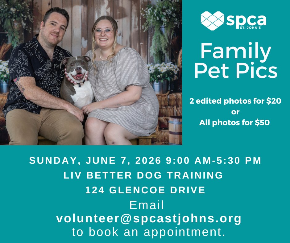 Family Pet Pictures - June 7, 2026