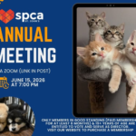 Annual General Meeting - June 15, 2026