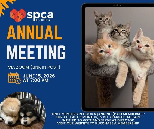 Annual General Meeting - June 15, 2026