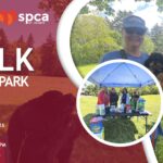 Atlantic Team Realty - Walk in the Park 2026
