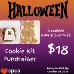 Halloween Cookie Kit Fundraiser - 2026