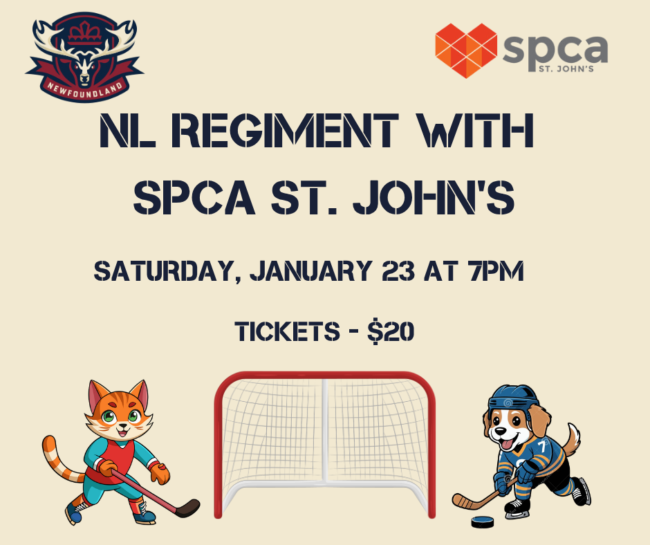 Pucks for Paws 2026